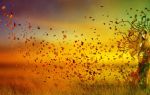 E' la voce d'autunno