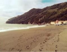 Ringraziamento