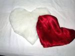 Vincitori d�Amor e d�Amor vinti