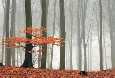 L'Alba