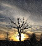 "Pioggia di novembre"