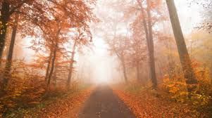 Generoso Autunno