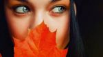 Quell'inevitabile malinconia autunnale