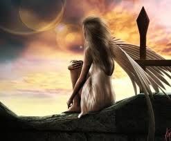 Flebile confine