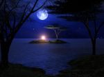 La notte