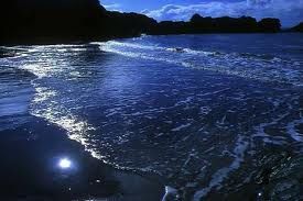 Sogno antico