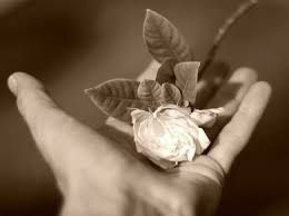 Il fiore dello scambio