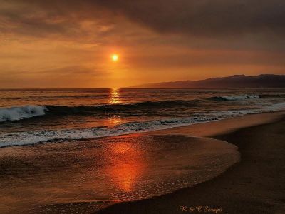 La realt�  