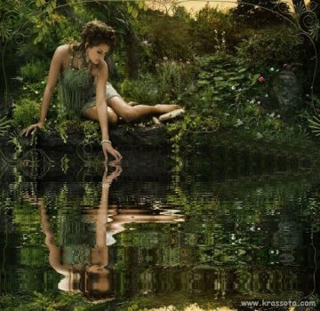 Il giardino