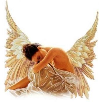 Gli angeli provano invidia