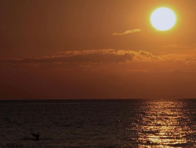 L'amore � un sogno