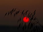Il silenzio dell'alba