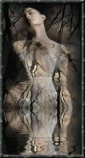 Corpo