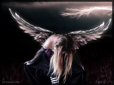 Angeli senz'ali