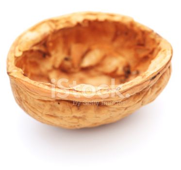 Guscio