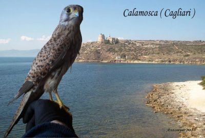 Silenzi d�amore