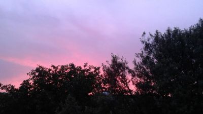 Sogno
