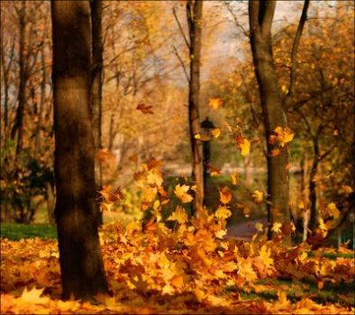 Autunno