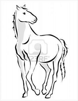 Il cavallo bianco