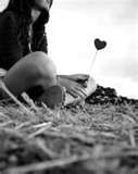 Chiss�