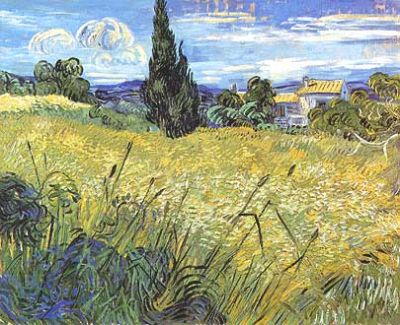 Occhi di grano