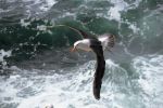 Il mare d�inverno