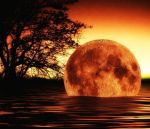 Sfilo l�oro del giorno