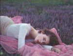 Sulle labbra dell�alba