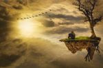 L�oro liquido del sole