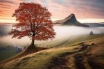 Nell�incanto delle stelle