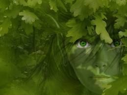 Il Bosco delle Favole
