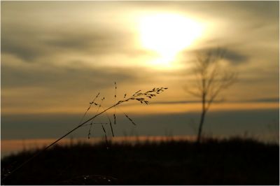 Mattino