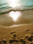 Cos� in me cresce l'autunno