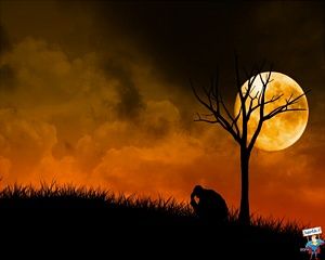 Canto notturno di un cuore affranto