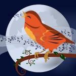 Serenata alla luna