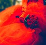Rosa senza età