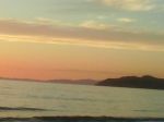 Forse