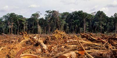 L'urlo della terra