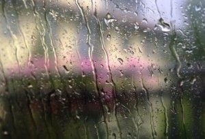 Disperso autunno