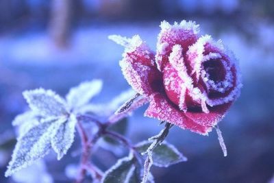 Giorni d’inverno