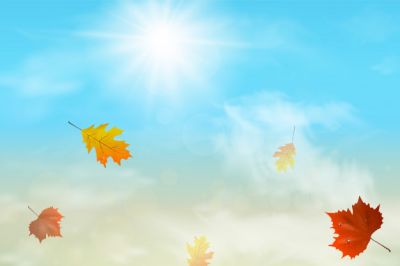 Foglie d’autunno