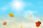 Foglie d’autunno