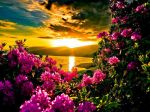 L’alba dopo il tramonto