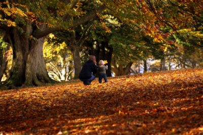 � ancora Autunno