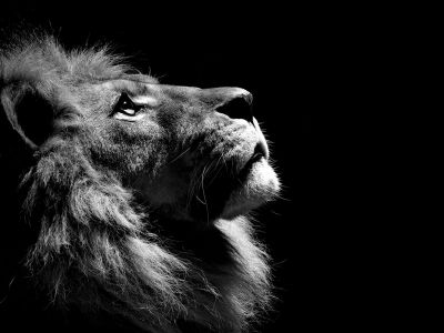Passione Stanca