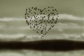 Parole d'amore... in volo