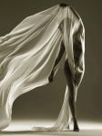 Vibrami notte