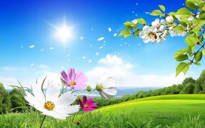 Ho visto la primavera esplodere