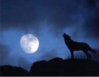 Quando la luna non c’era