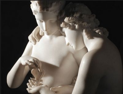 Il destino delle farfalle